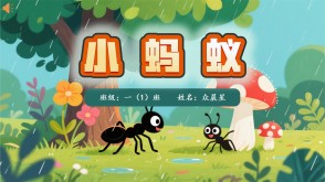 9-000098   小蚂蚁